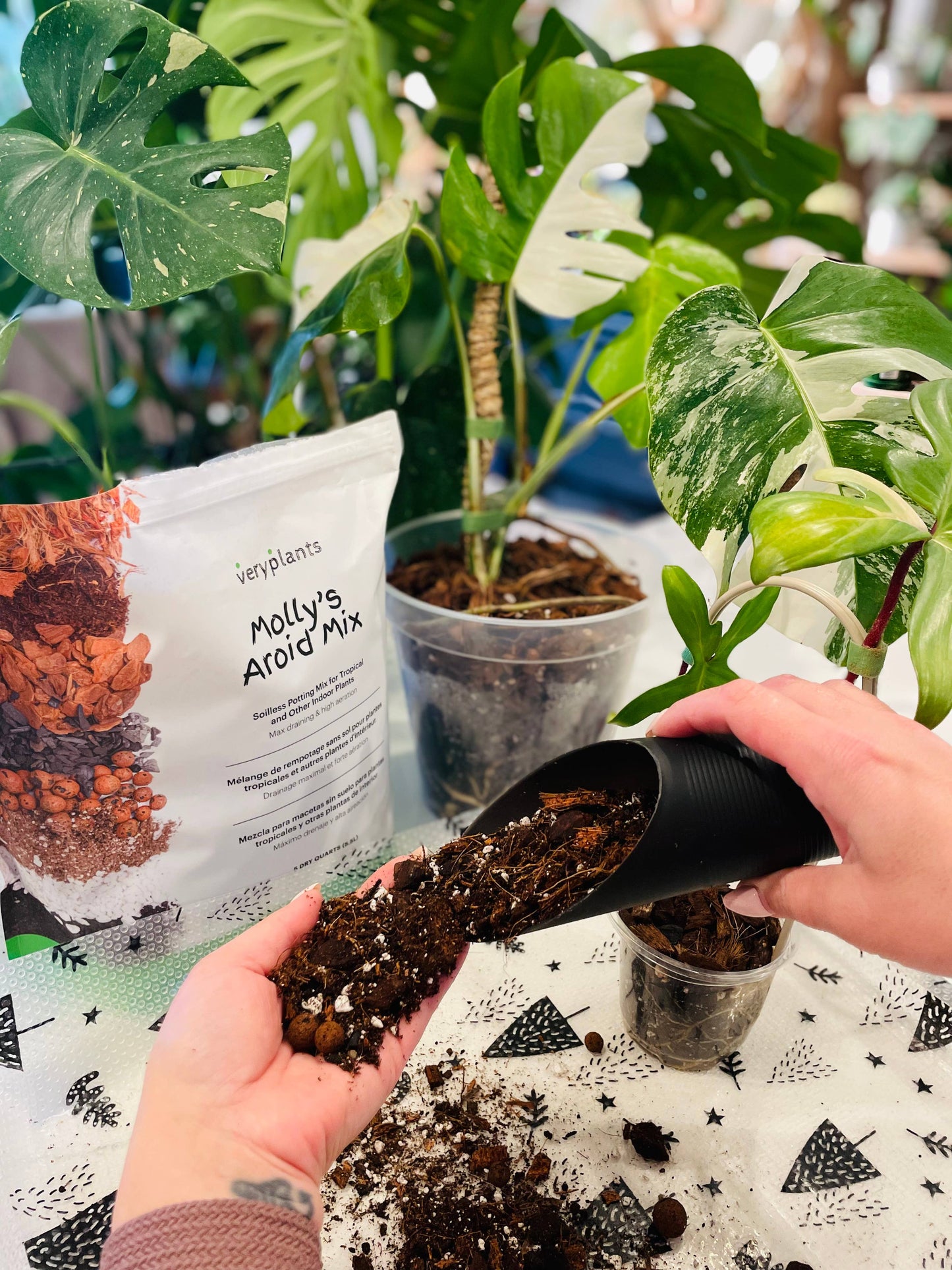 Molly's Aroid Mix - Premium Tropical Plant Soilless Potting