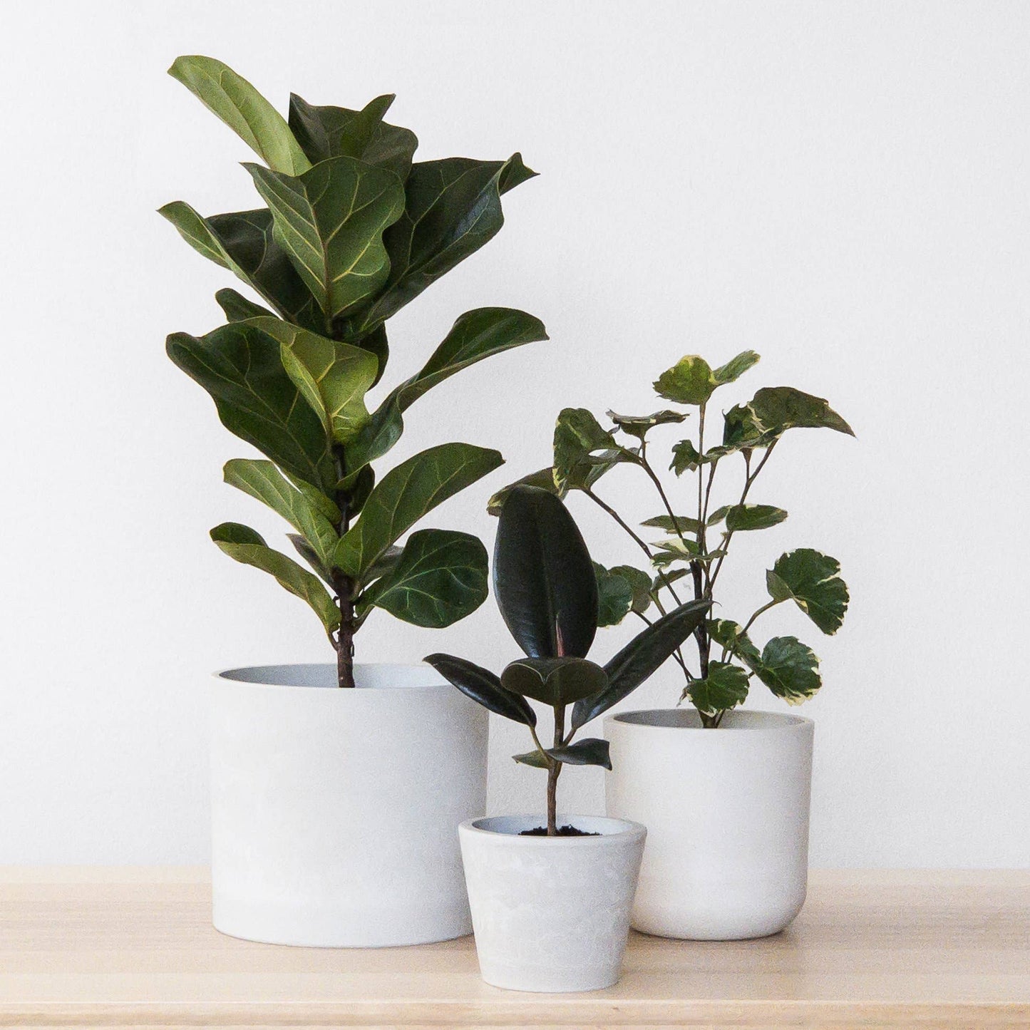 7" Signature Stone Planter Pot