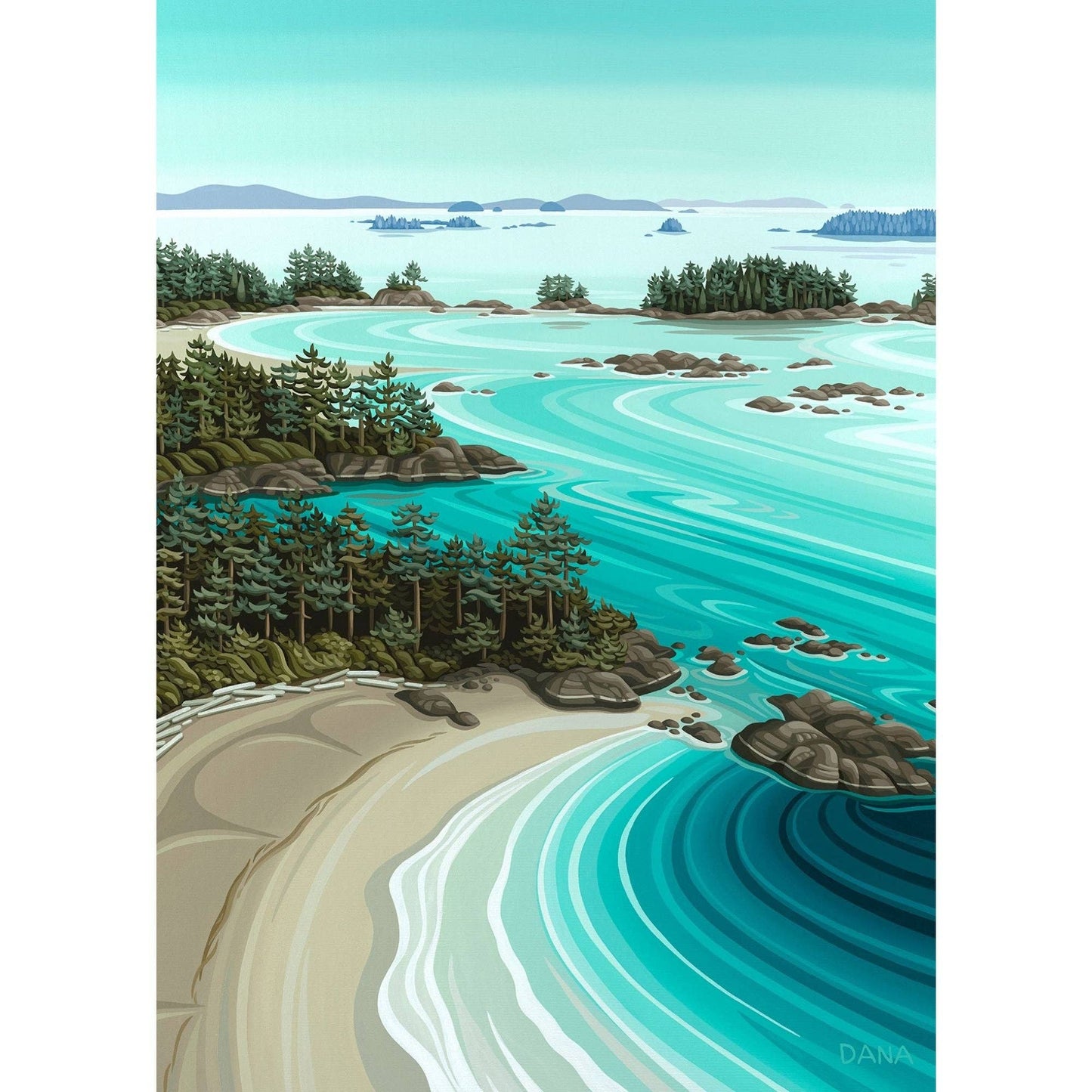 Soaring over Tofino | 1000-Piece Puzzle