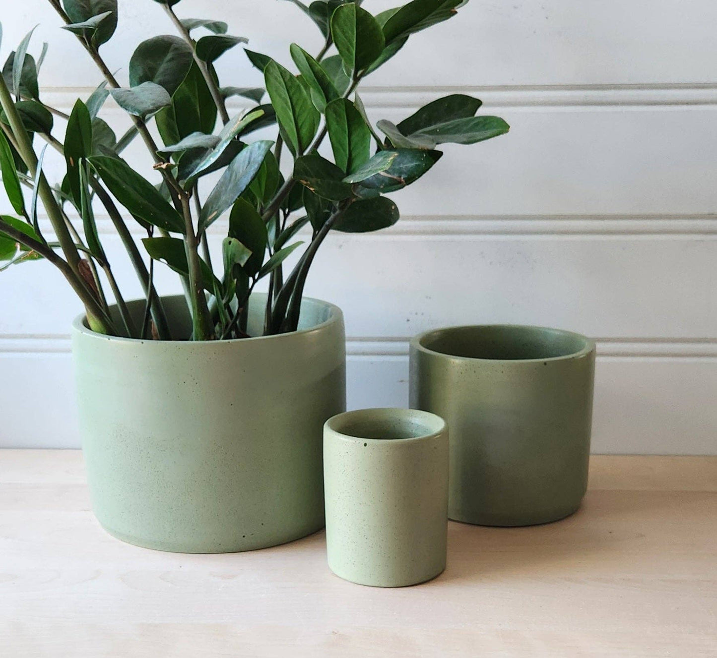 Cylinder Planter- Olive