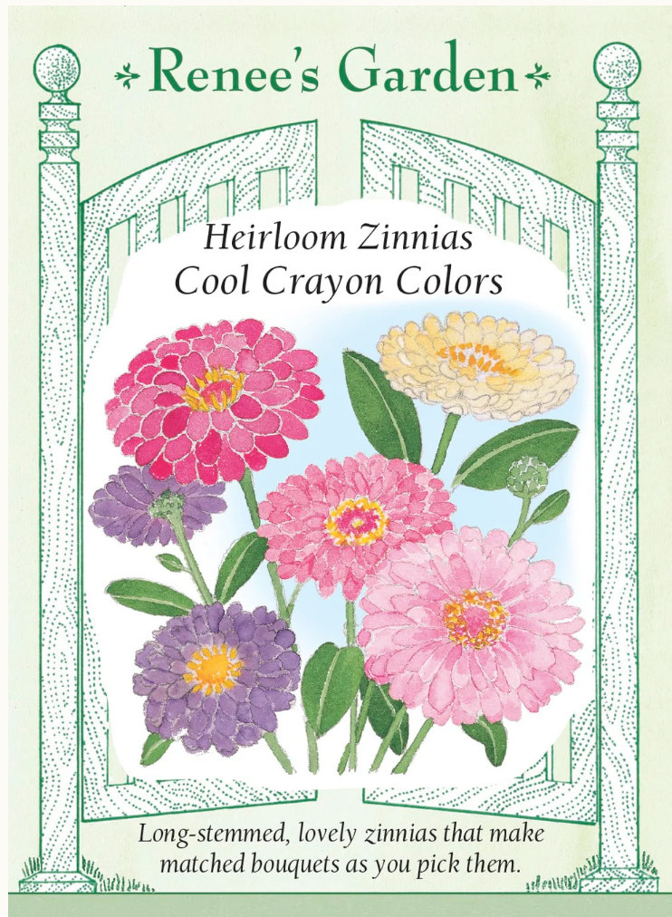 Cool Crayon Colors - Heirloom Zinnias