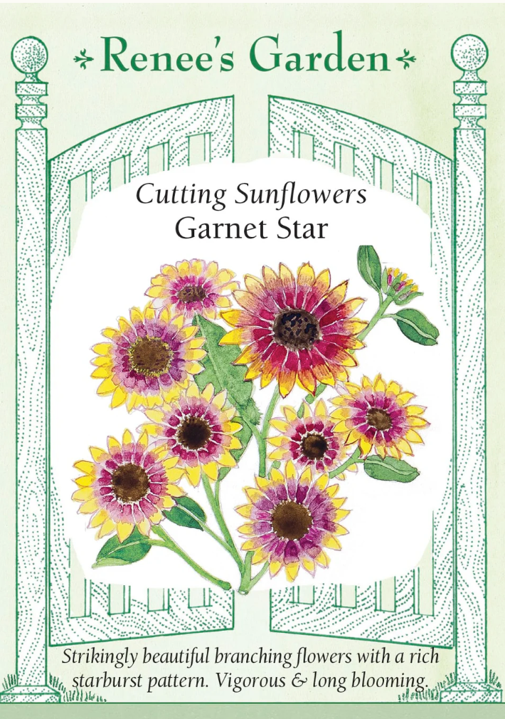 Garnet Star - Cutting Sunflowers