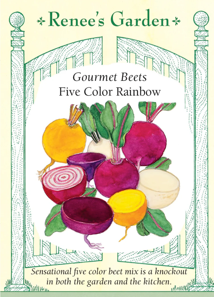 Five Color Rainbow - Gourmet Beets