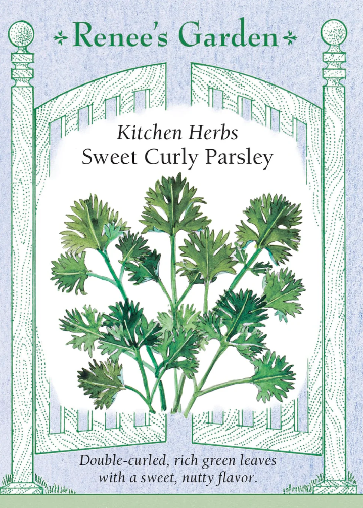 Sweet Curly Parsley - Kitchen Herbs