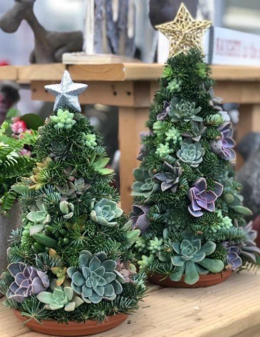 Small Succulent Christmas Tree Workshop - Dec 4