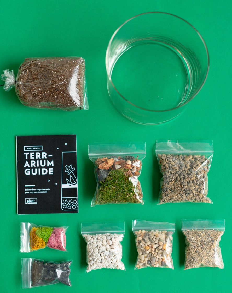 Small 4" Terrarium Workshop - January 10