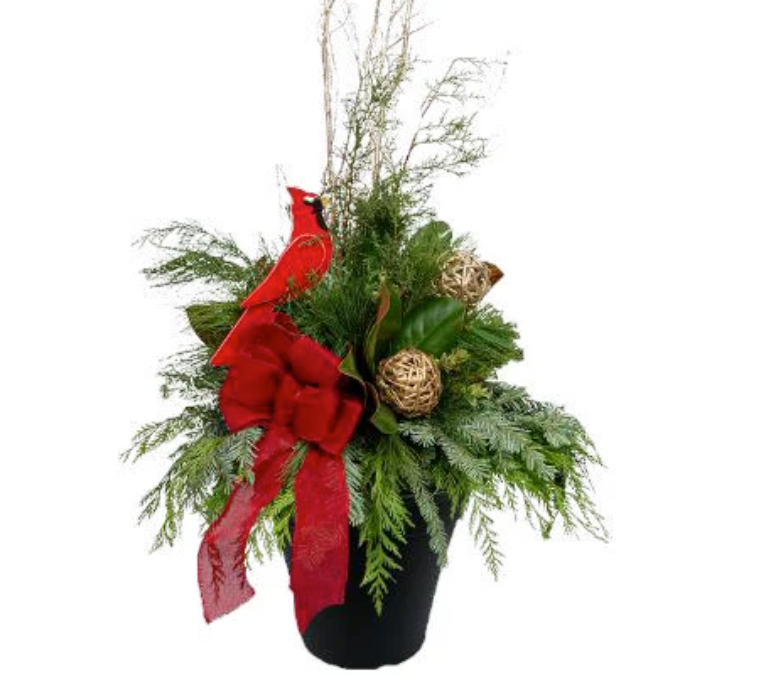 Small Outdoor Winter Planter - Nov 20