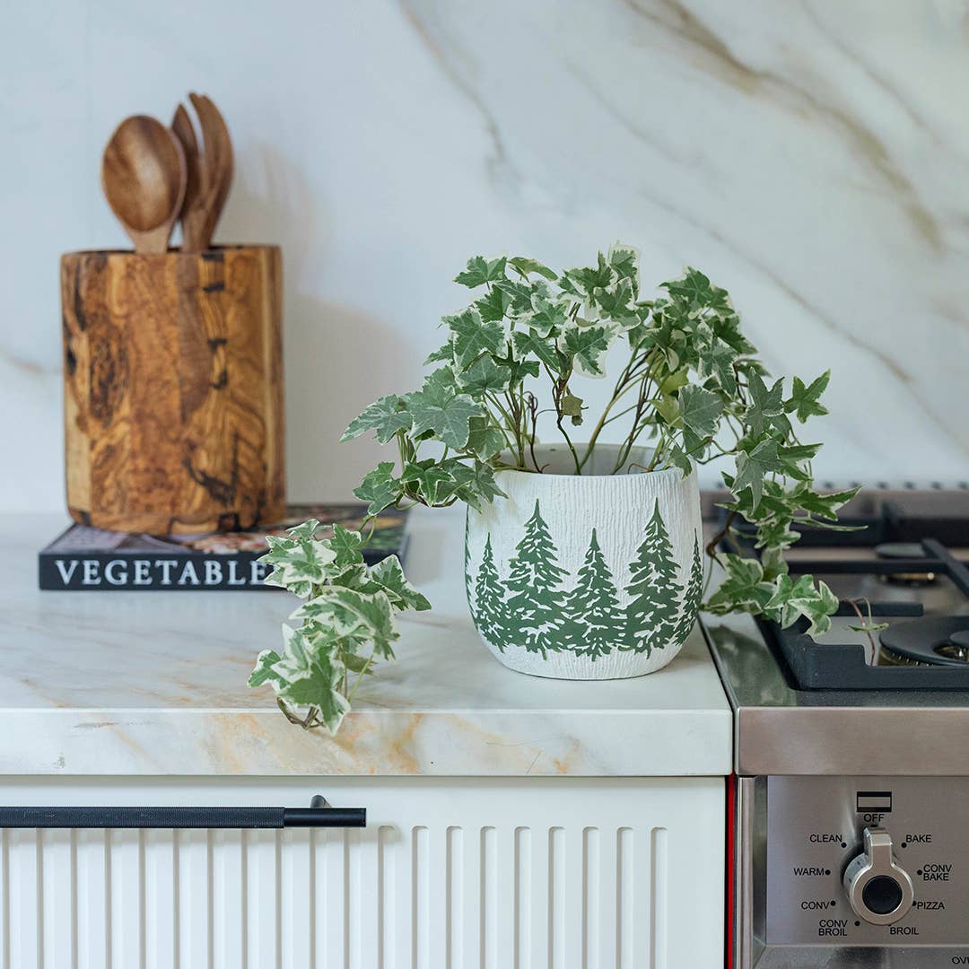 Green Pine Tree Cement Planter