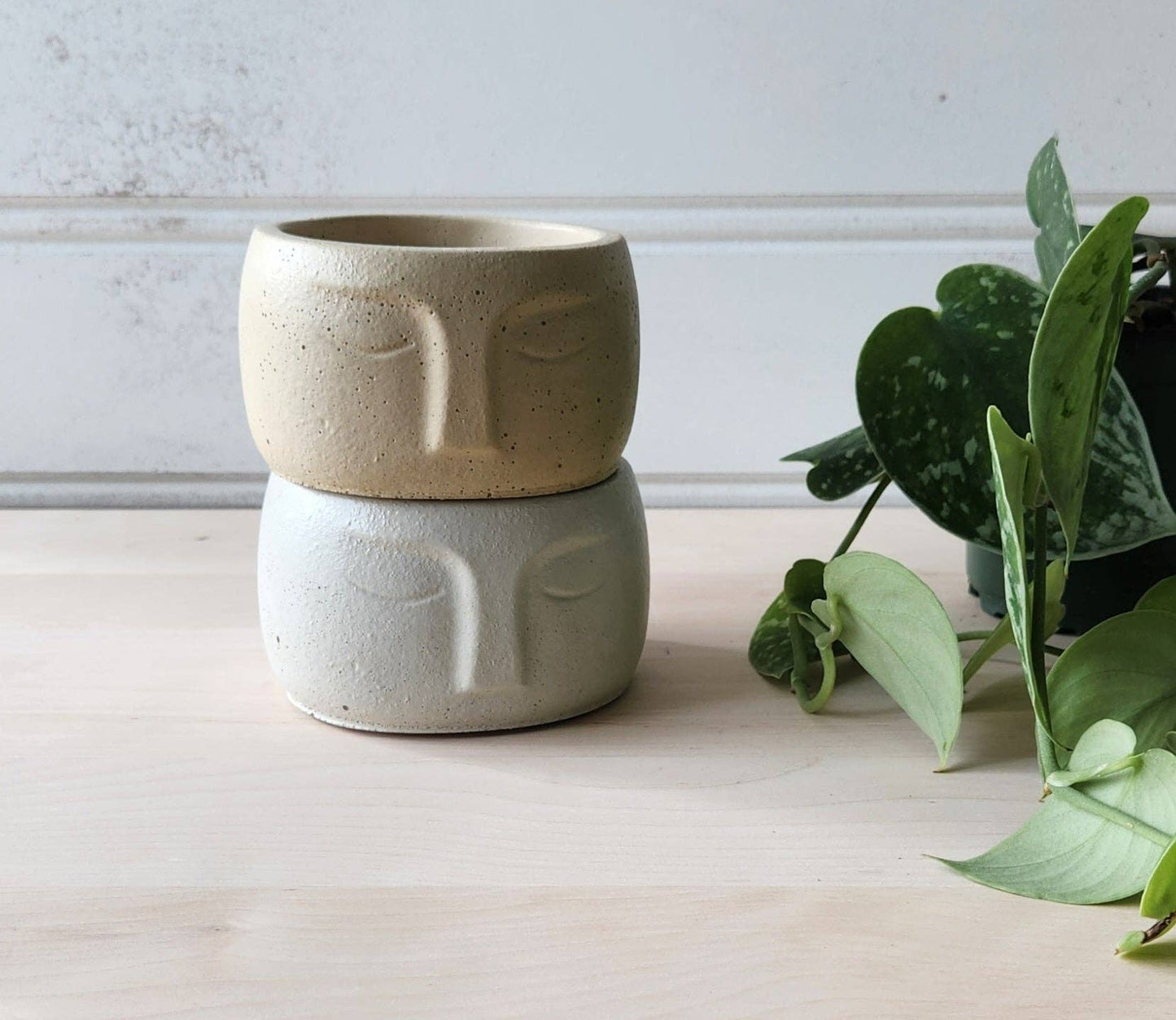 Nordic Face Planter