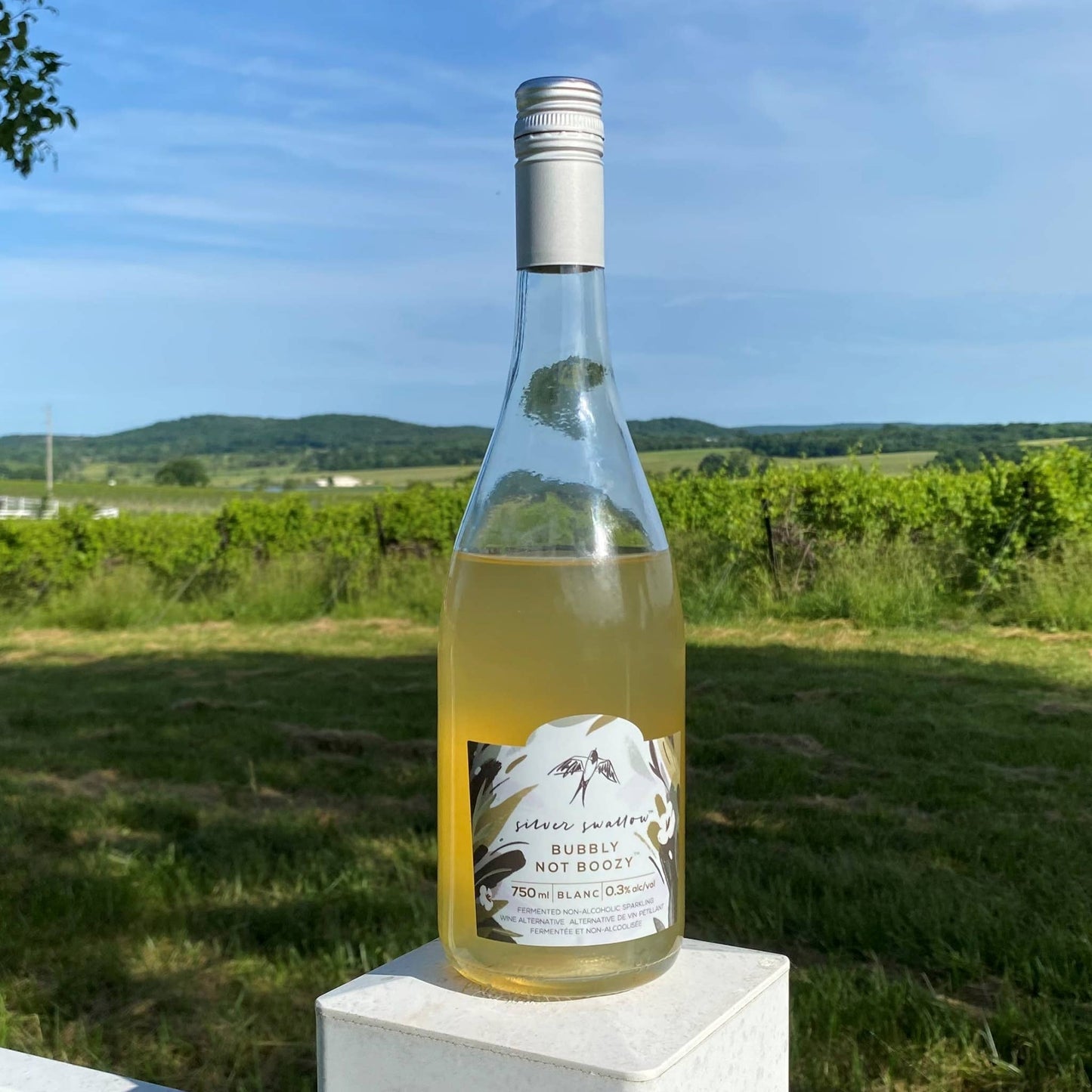 Bubbly Not Boozy - Blanc - Canadian