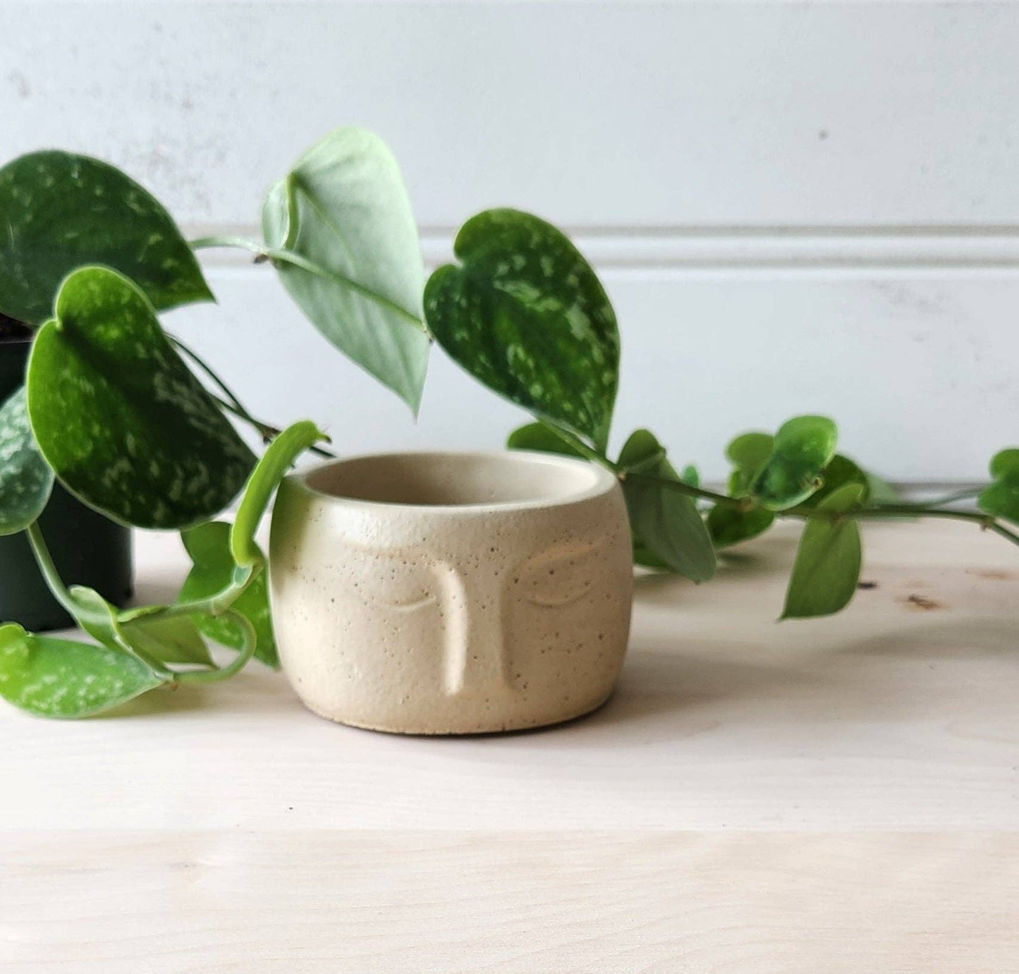 Nordic Face Planter
