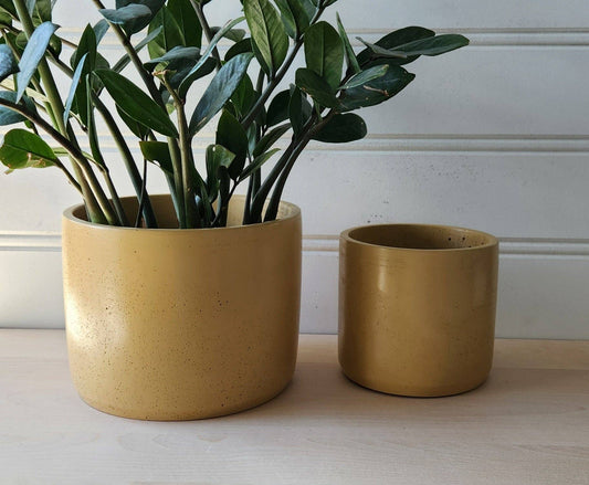 Cylinder Planter-Mustard