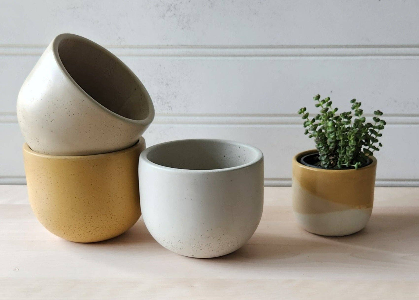 Tulip Planter- 5" White