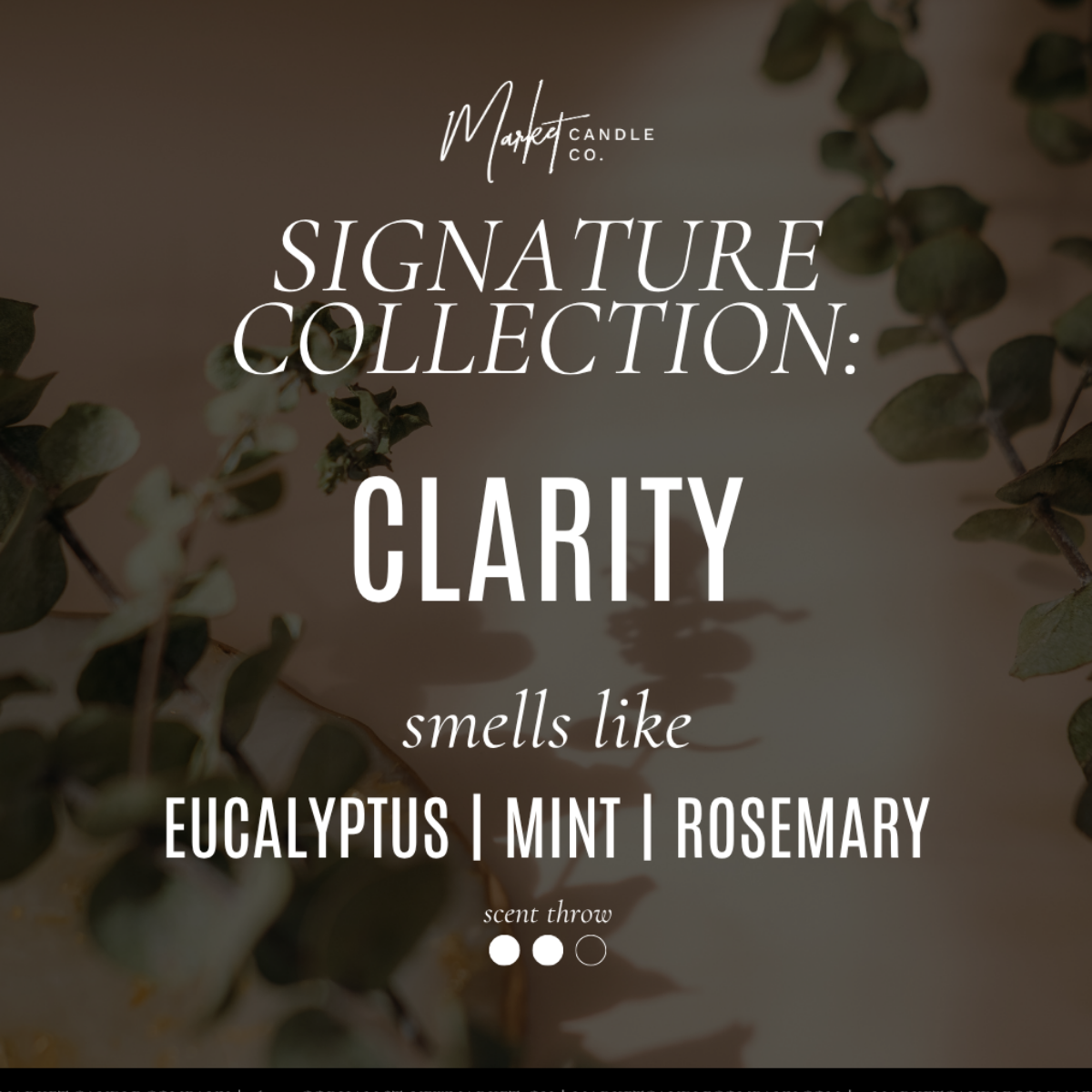CLARITY HAND WASH