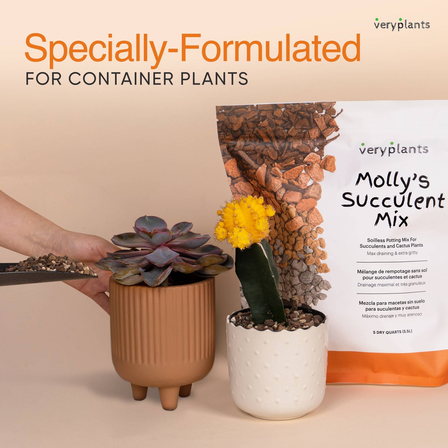 Molly's Succulent Mix - Premium Gritty Soilless Potting Mix
