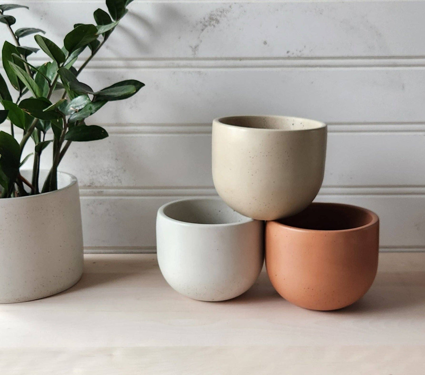Tulip Planter- 5" White