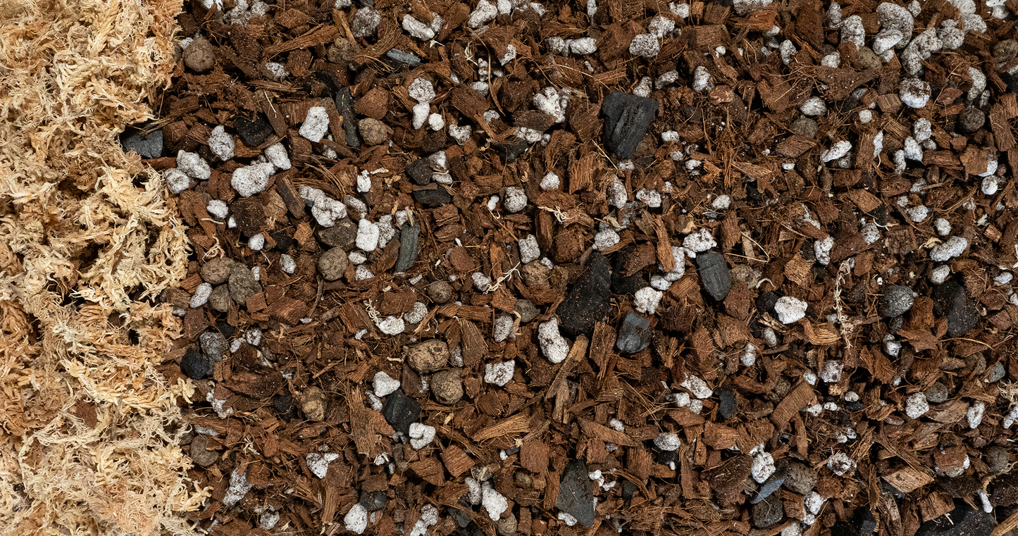 Forbidden Cereal Soilless Chunky Houseplant Potting Mix