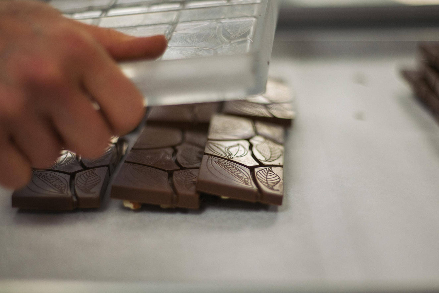 Toasted Hazelnut Chocolate Bar