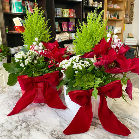 Christmas Candy Garden