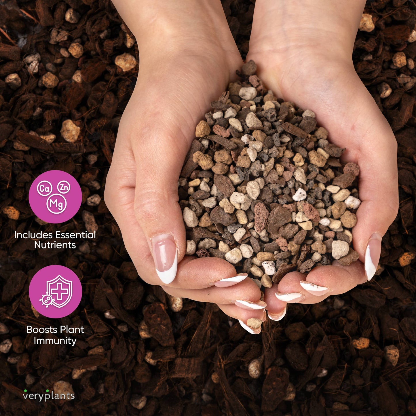 Molly's Succulent Mix - Premium Gritty Soilless Potting Mix