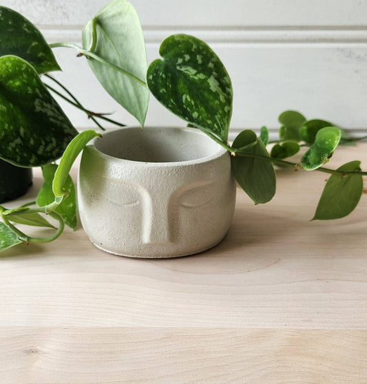 Nordic Face Planter