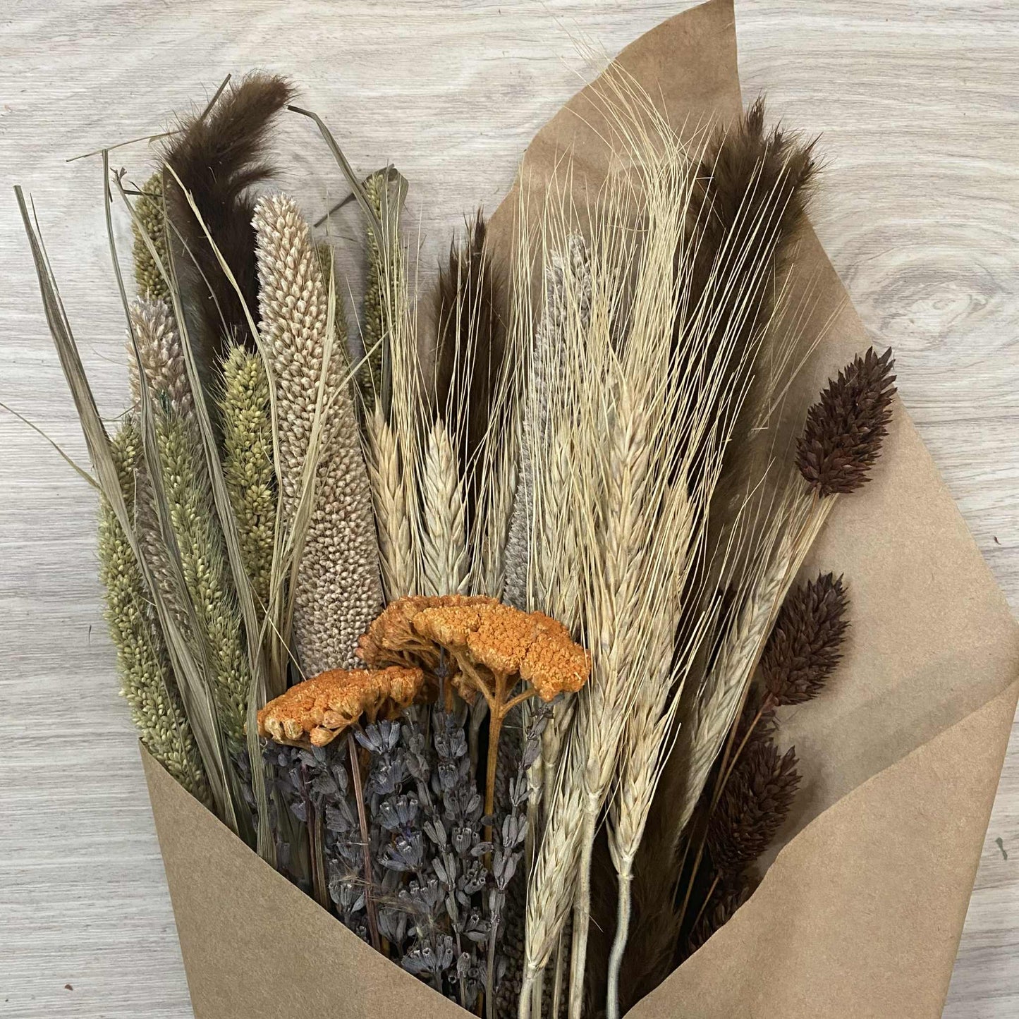 Dried Flower: Autumn Market Bundle