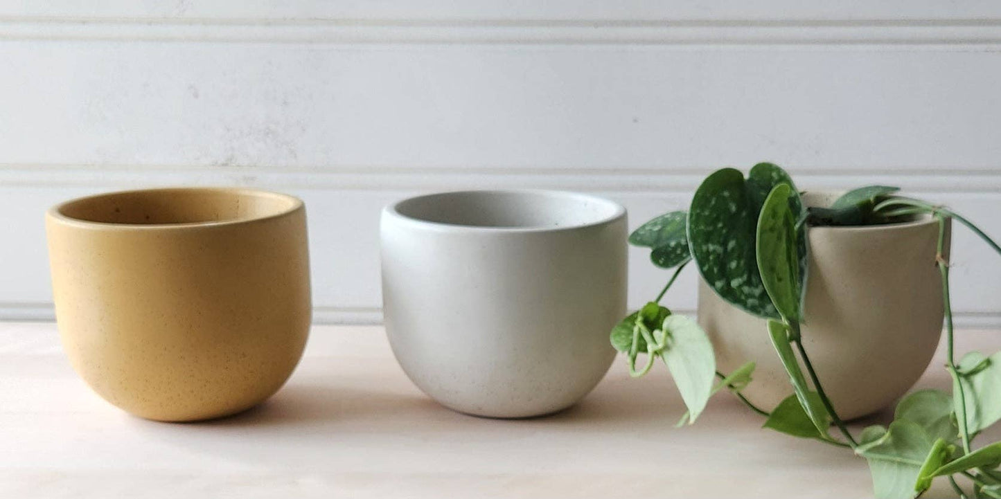 Tulip Planter- 5" White
