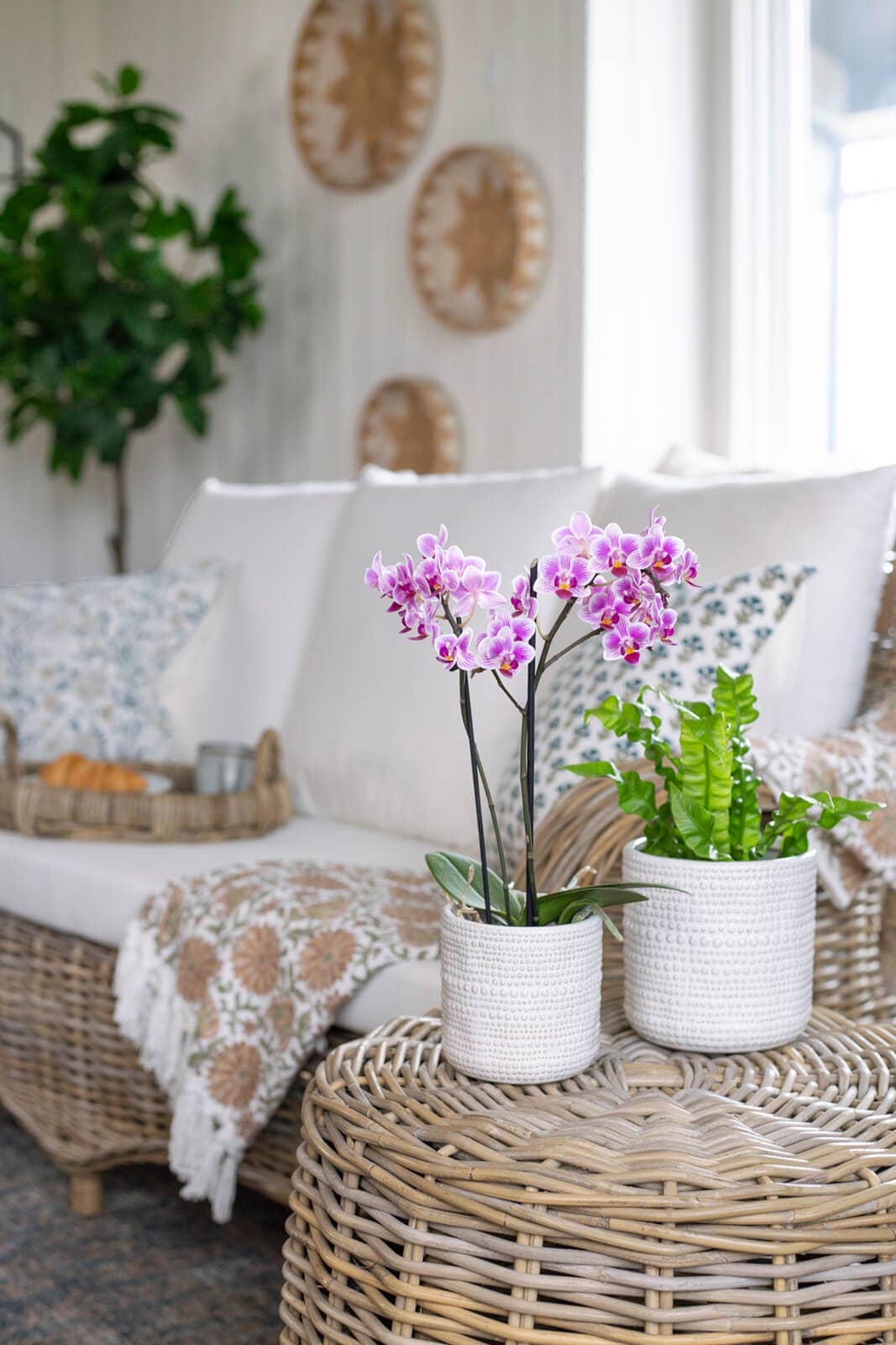 TEXTURED WHITE POT