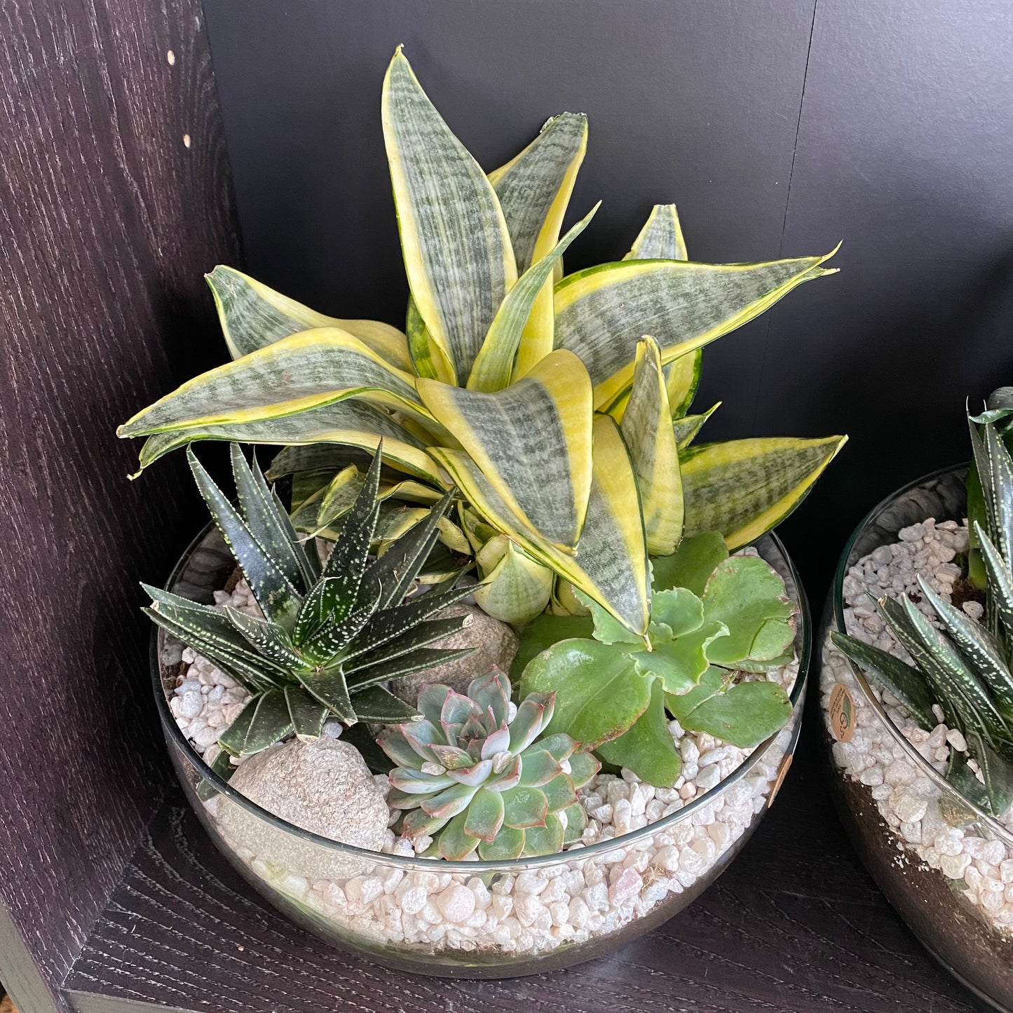Indoor Garden - Ovation Garden