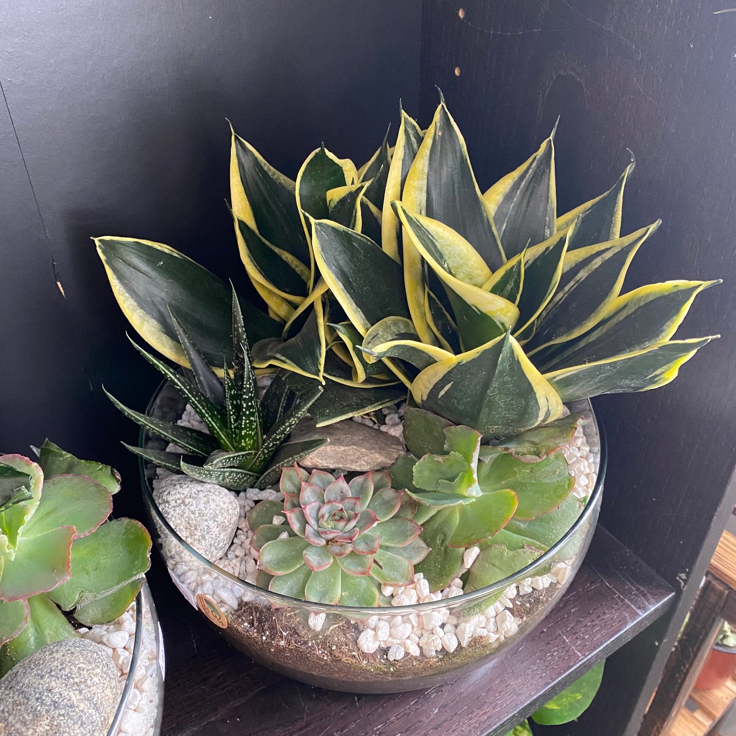 Indoor Garden - Ovation Garden