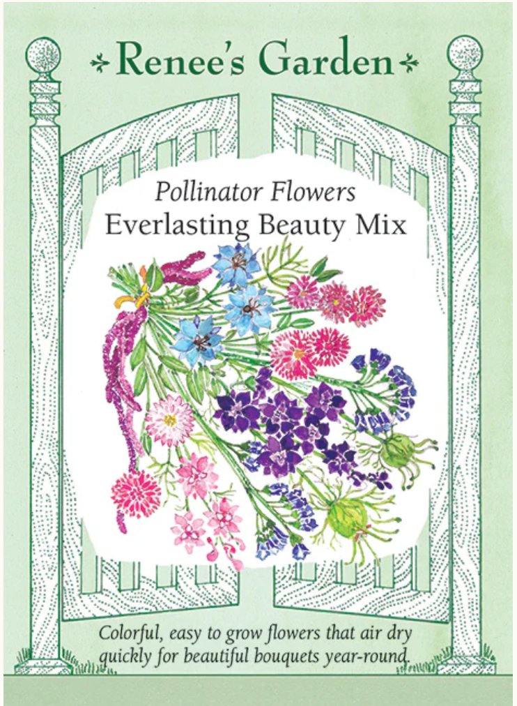 Everlasting Beauty Mix - Pollinator Flowers
