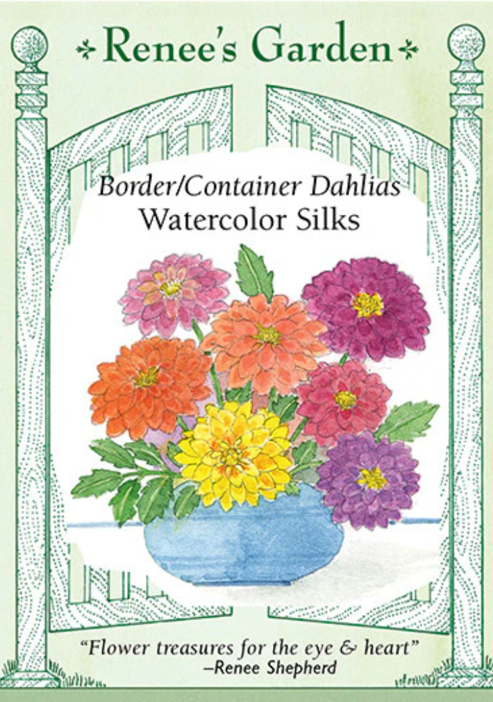 Watercolor Silks - Border/Container Dahlias