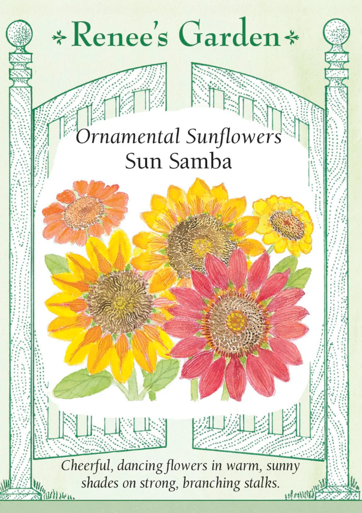 Sun Samba - Ornamental Sunflowers
