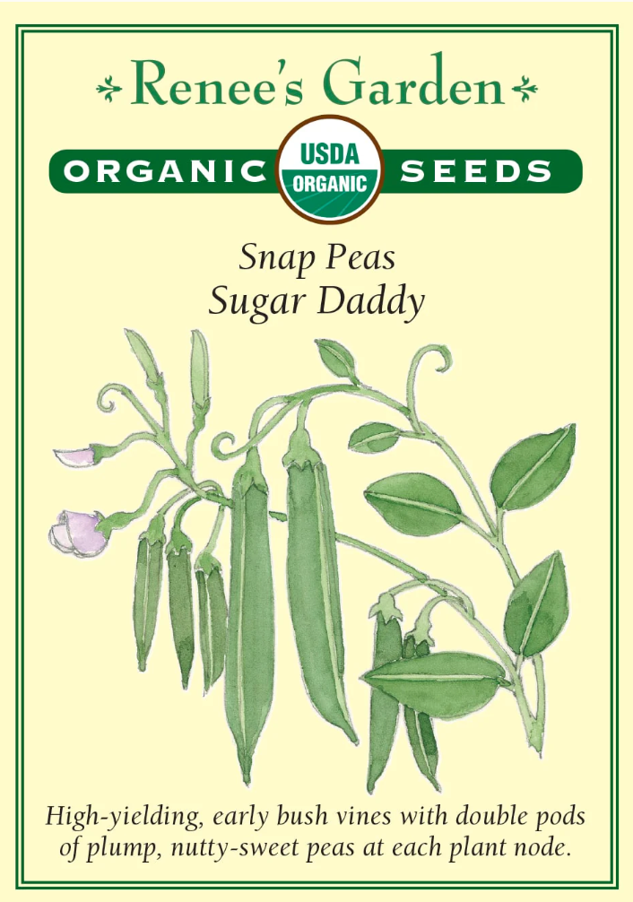 Sugar Daddy - Snap Peas