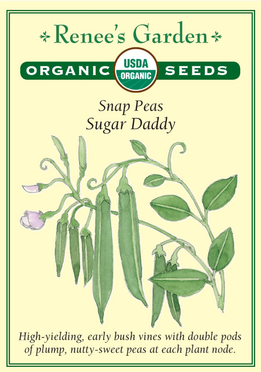 Sugar Daddy - Snap Peas