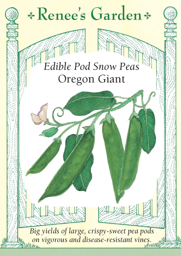 Oregon Giant - Edible Pod Snow Peas