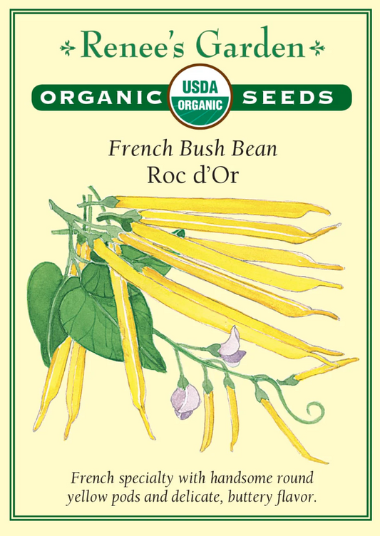 Roc D'Or - French Bush Bean
