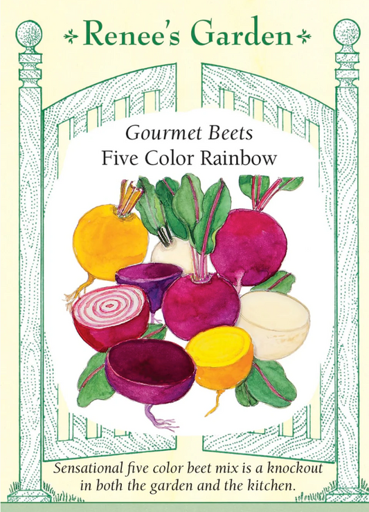 Five Color Rainbow - Gourmet Beets