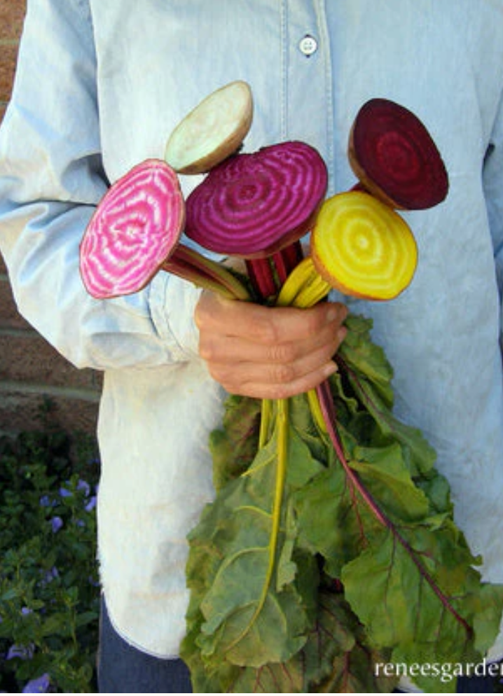 Five Color Rainbow - Gourmet Beets
