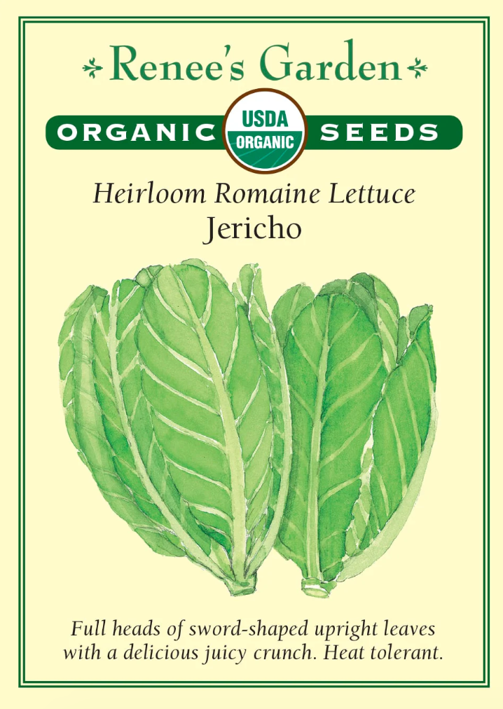 Jericho - Heirloom Romaine Lettuce