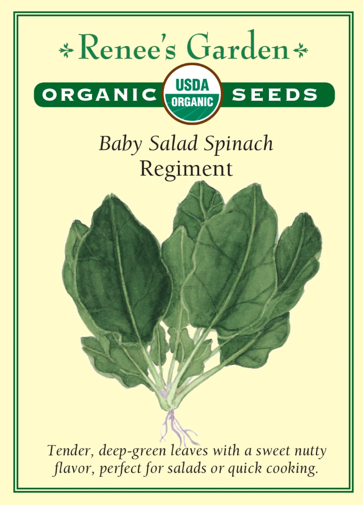 Regiment - Baby Salad Spinach