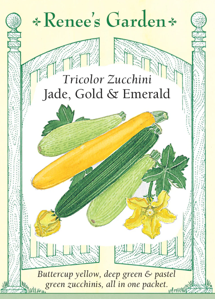 Jade, Gold, & Emerald - Tricolor Zucchini