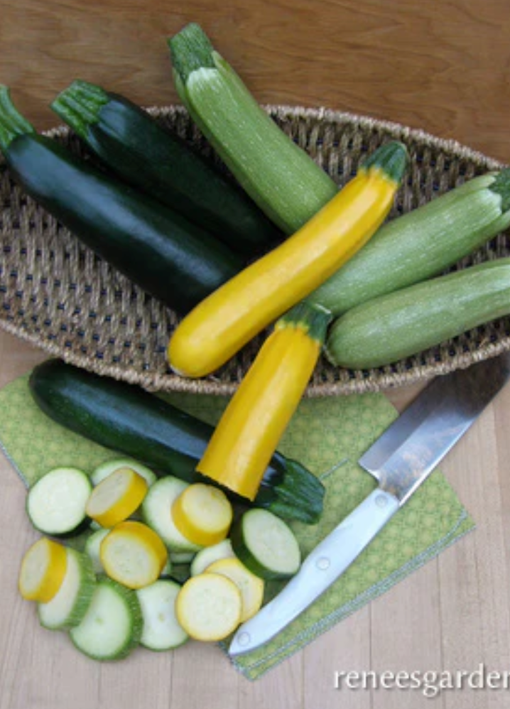 Jade, Gold, & Emerald - Tricolor Zucchini