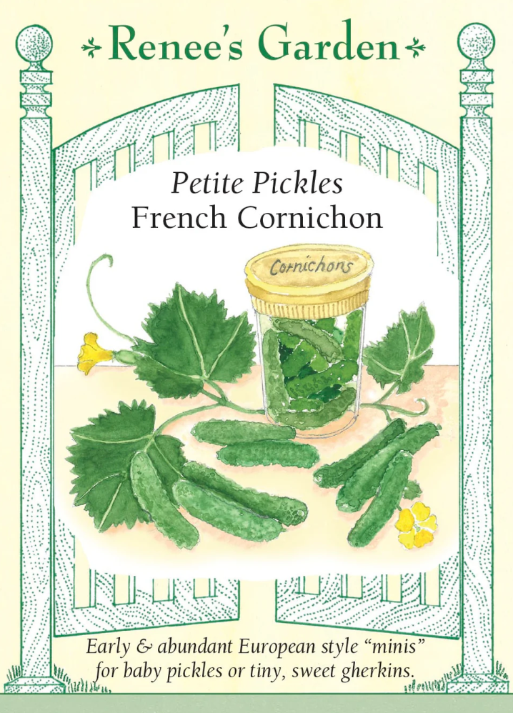 French Cornichon - Petite Pickles