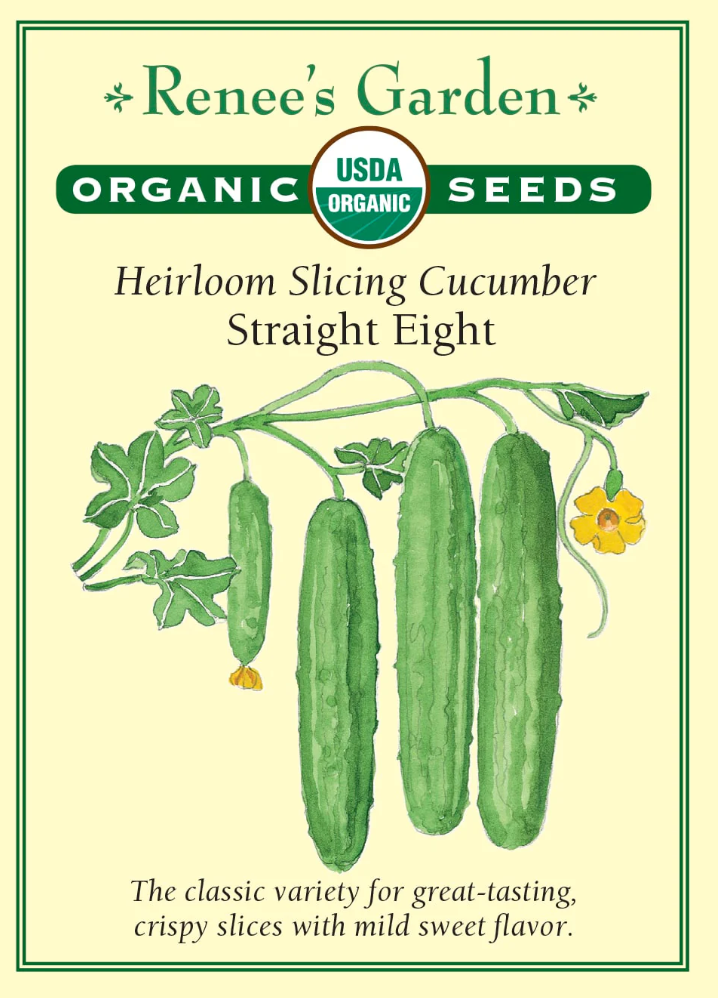 Straight Eight - Heirloom Slicing Cucumber