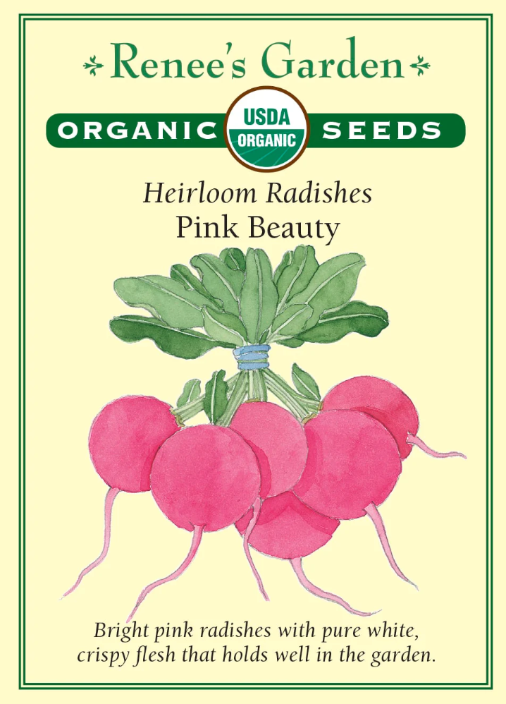 Pink Beauty - Heirloom Radishes