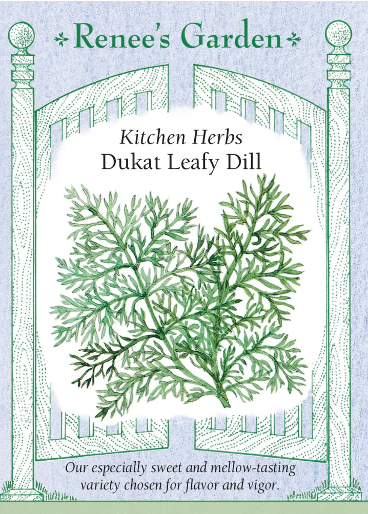 Dukat Leafy Dill - Kitchen Herbs