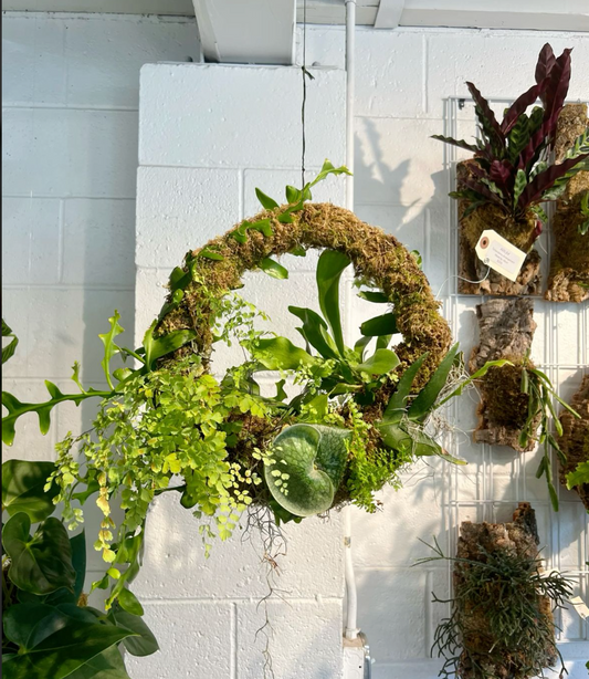Kokedama Wreath Workshop