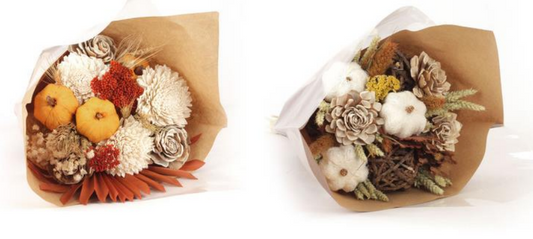 Dried Flower: Autumn Splendor