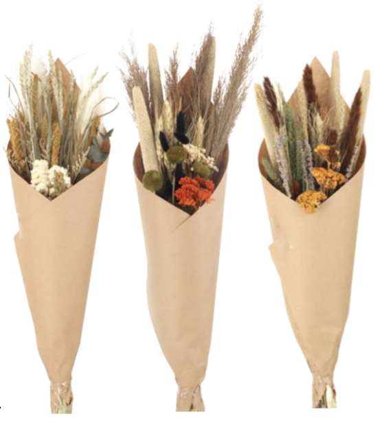 Dried Flower: Autumn Market Bundle